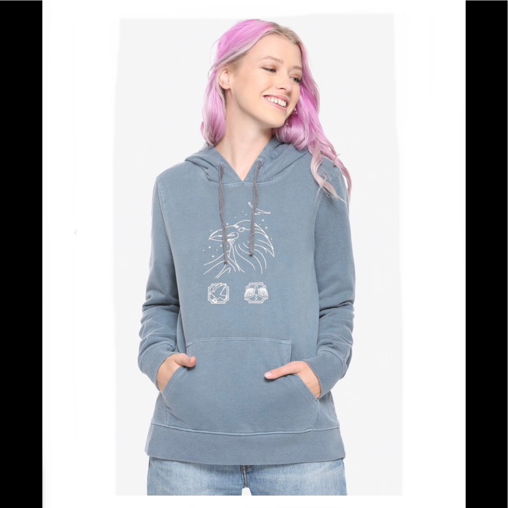 HARRY POTTER RAVENCLAW Pigment Hoodie! - Picture 2 of 8
